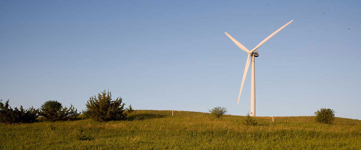 Wind turbine in field.