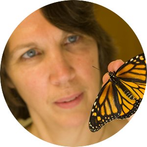 Woman holding Monarch butterfly.
