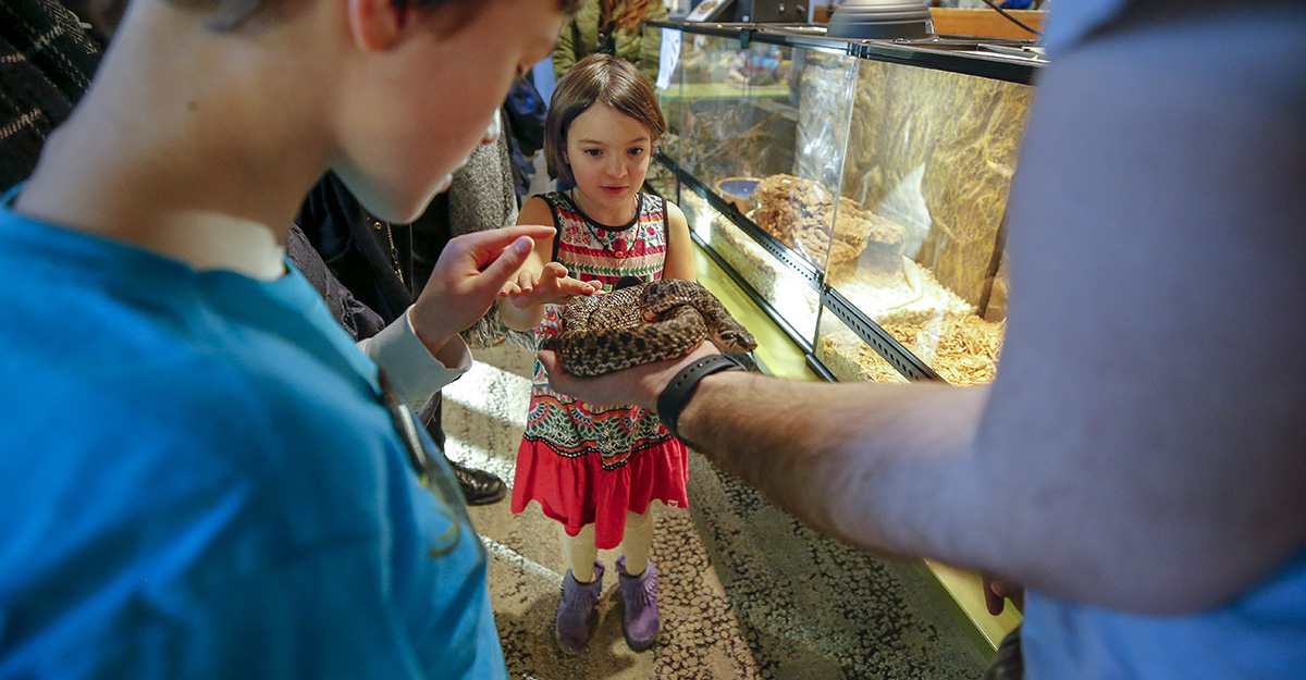 Two kids touch a snake during Space Fest at the Bell Museum