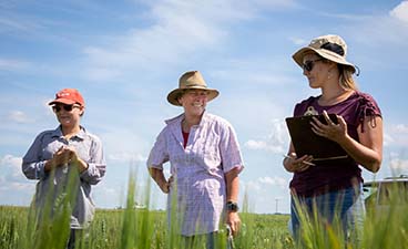 Plant Pathology Professor Ruth Dill-Macky with two others in the field doing research.