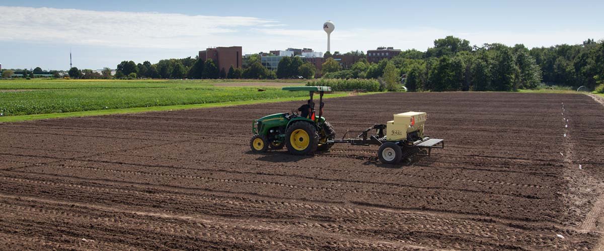 Camelina and pennycress being planted in St. Paul.
