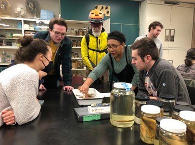 Dr. Kassandra Ford, Curator of Fishes at the Bell Museum, assists club members practicing the identification of Minnesota fishes.