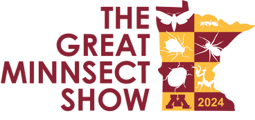 Great Minnsect show 2024 logo.