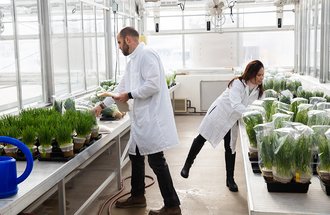 Two individuals looking at plants in a greenhouse