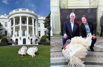 1000x650 Thanksgiving Turkeys with Brian Buhr and Jeff Ettinger